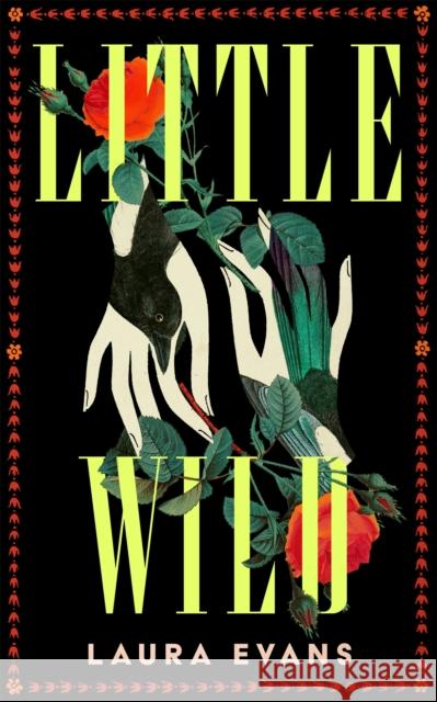 Little Wild Laura Evans 9781035073061 Pan Macmillan - książka