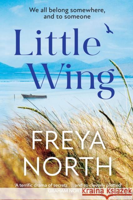 Little Wing: A beautifully written, emotional and heartwarming story Freya North 9781787397637 Headline Publishing Group - książka