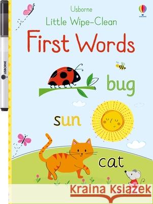 Little Wipe-Clean First Words Felicity Brooks Malu Lenzi 9781836053415 Usborne Books - książka