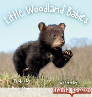 Little Woodland Babies Jessica Lee Anderson David Kenny 9781964078670 Ao Press - książka