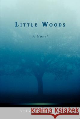 Little Woods Steve Campbell 9780595476664 iUniverse - książka