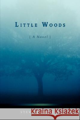 Little Woods Steve Campbell 9780595712601 iUniverse - książka