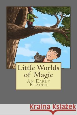 Little Worlds of Magic Mary T. Kincaid 9780997148800 Red Hawk Press - książka