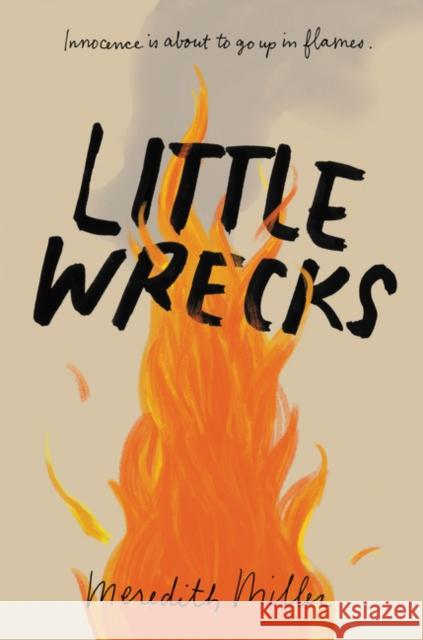 Little Wrecks Meredith Miller 9780062474261 HarperCollins - książka