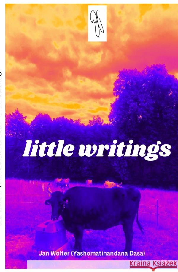 little writings Wolter, Jan 9783757574178 epubli - książka