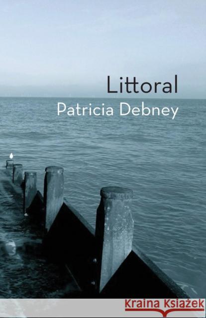Littoral Patricia Debney 9781848612938 Shearsman Books - książka