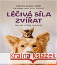 Léčivá síla zvířat Rainer Wohlfarth 9788076701076 Nakladatelství Kazda - książka