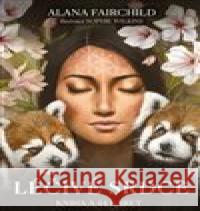 Léšivé srdce Sophie Wilkins 9788073706951 Synergie - książka