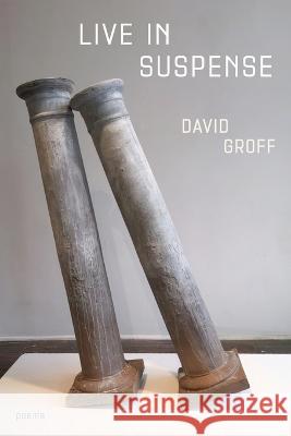 Live in Suspense David Groff 9781949487152 Trio House Press - książka