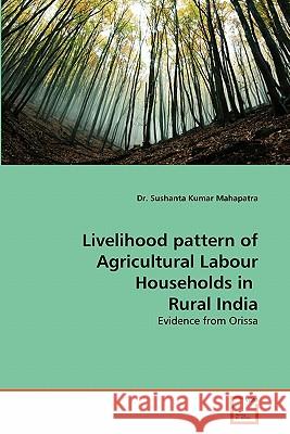 Livelihood pattern of Agricultural Labour Households in Rural India Mahapatra, Sushanta Kumar 9783639302202 VDM Verlag - książka