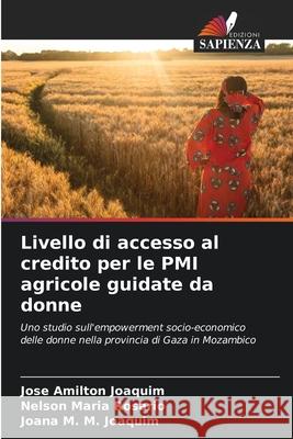 Livello di accesso al credito per le PMI agricole guidate da donne Jose Amilton Joaquim Nelson Maria Ros?rio Joana M. M. Joaquim 9786207629633 Edizioni Sapienza - książka