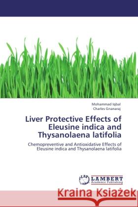 Liver Protective Effects of Eleusine indica and Thysanolaena latifolia Iqbal, Mohammad, Gnanaraj, Charles 9783846533857 LAP Lambert Academic Publishing - książka