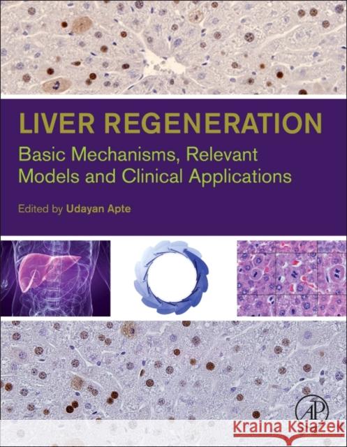 Liver Regeneration: Basic Mechanisms, Relevant Models and Clinical Applications Apte, Udayan M.   9780124201286 Elsevier Science - książka