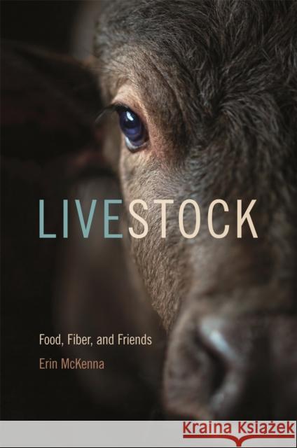 Livestock: Food, Fiber, and Friends Erin McKenna Robert W. Mitchell 9780820351919 University of Georgia Press - książka