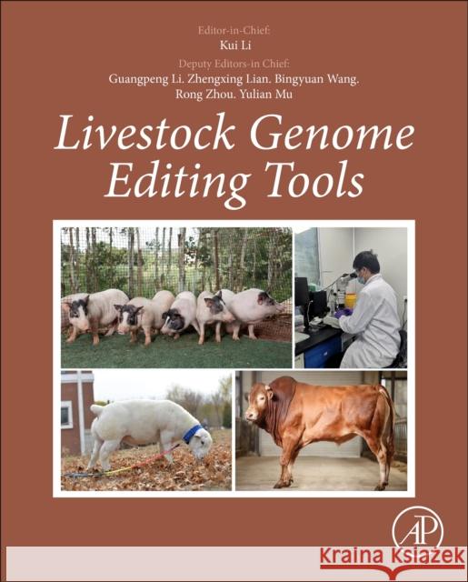 Livestock Genome Editing Tools Kui Li Bingyuan Wang 9780128190999 Elsevier Science Publishing Co Inc - książka