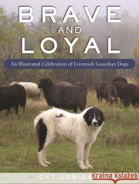 Livestock Guardian Dogs: An Illustrated Celebration Cat Urbigkit 9781510774926 Skyhorse Publishing - książka