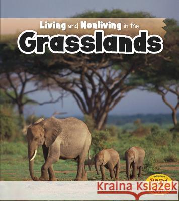 Living and Nonliving in the Grasslands Rebecca Rissman 9781410953919 Raintree - książka