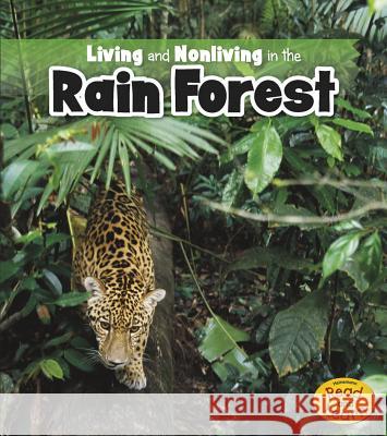 Living and Nonliving in the Rain Forest Rebecca Rissman 9781410953896 Raintree - książka