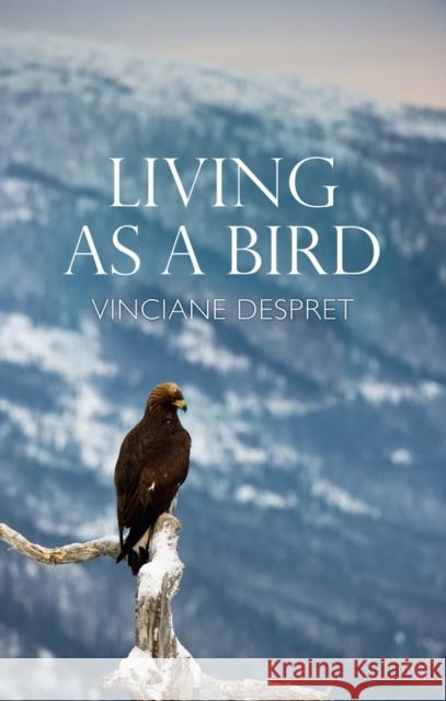 Living as a Bird Vinciane Despret Helen Morrison 9781509547265 Polity Press - książka