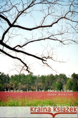 Living in the Meantime: Three Novellas Richard Barnett 9781482014563 Createspace - książka