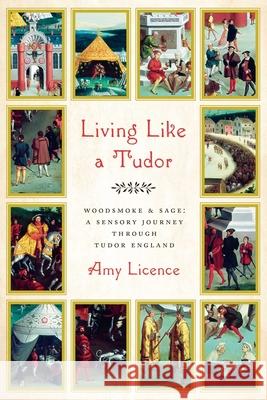 Living Like a Tudor: Woodsmoke and Sage: A Sensory Journey Through Tudor England Amy Licence 9781643138152 Pegasus Books - książka