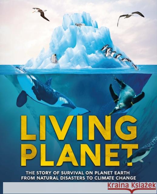 Living Planet: The Story of Survival on Planet Earth from Natural Disasters to Climate Change Camilla de la Bedoyere 9781783125296 Welbeck Publishing Group - książka