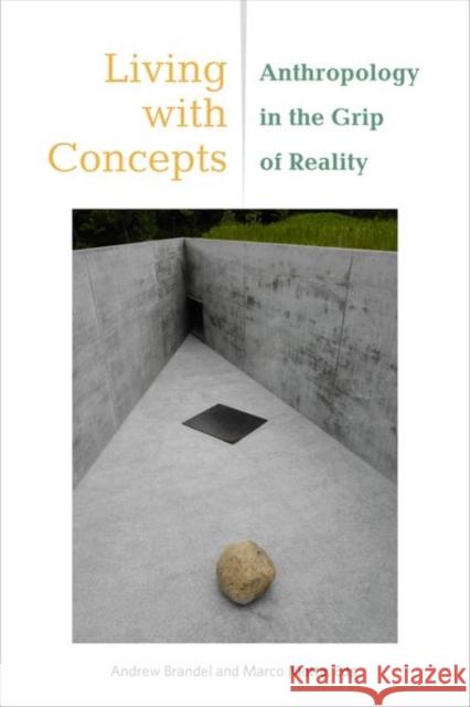 Living with Concepts: Anthropology in the Grip of Reality Andrew Brandel Marco Motta Jocelyn Benoist 9780823294268 Fordham University Press - książka