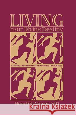 Living Your Divine Destiny Hendrik Visser 9781554520107 Essence Publishing (Canada) - książka