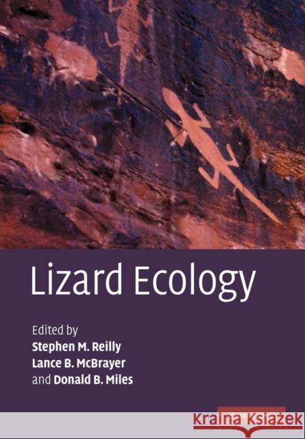 Lizard Ecology Stephen M. Reilly Lance B. McBrayer Donald B. Miles 9781107407480 Cambridge University Press - książka