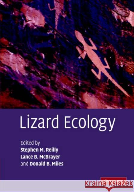 Lizard Ecology: The Evolutionary Consequences of Foraging Mode Reilly, Stephen M. 9780521833585 Cambridge University Press - książka