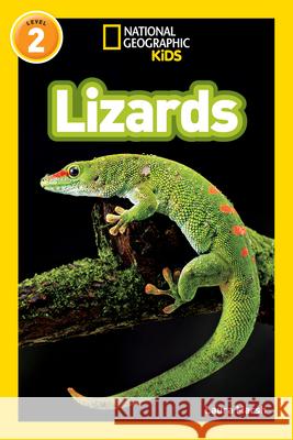 Lizards Marsh, Laura 9781426309229 National Geographic - książka