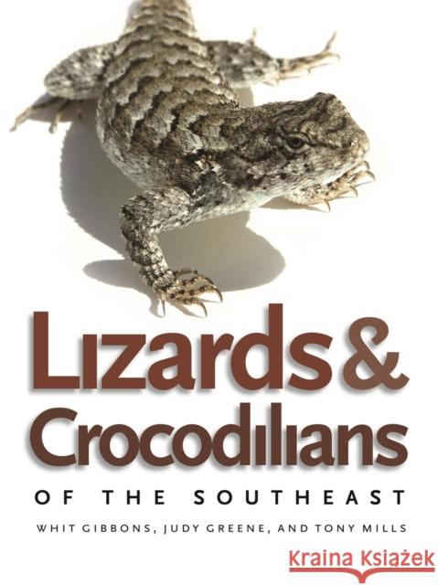 Lizards and Crocodilians of the Southeast Whit Gibbons Judy Greene Tony Mills 9780820331584 University of Georgia Press - książka