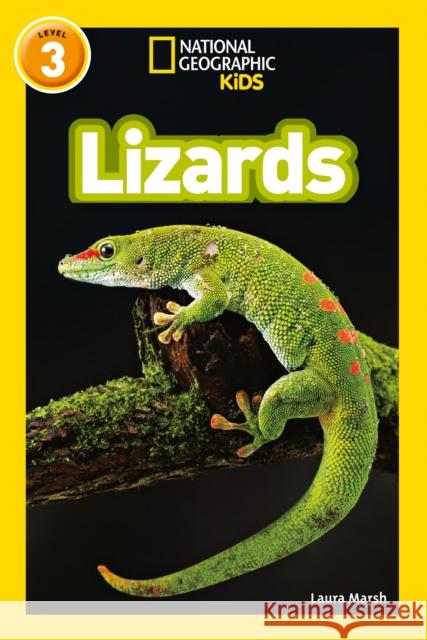 Lizards: Level 3 National Geographic Kids 9780008266738 HarperCollins Publishers - książka