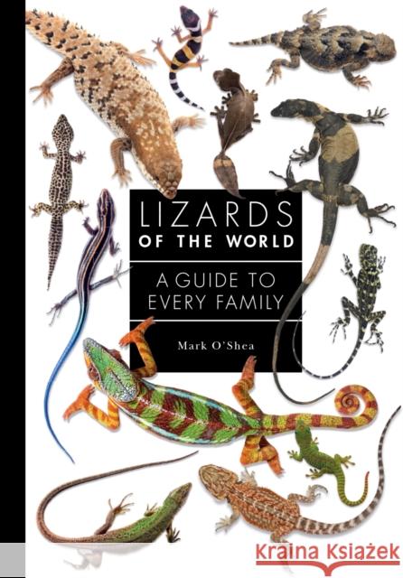 Lizards of the World: A Guide to Every Family O'Shea, Mark 9780691198699 Princeton University Press - książka