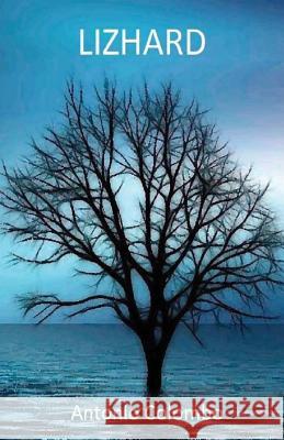 Lizhard Antonio Colombo 9781547235957 Createspace Independent Publishing Platform - książka