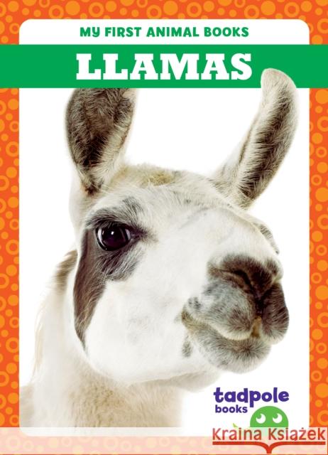 Llamas Marie Brandle 9798885246705 Tadpole Books - książka