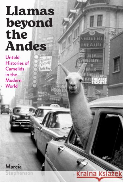 Llamas Beyond the Andes: Untold Histories of Camelids in the Global World Marcia Stephenson 9781477328408 University of Texas Press - książka