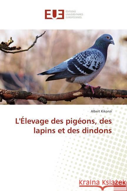 L'Élevage des pigéons, des lapins et des dindons Kikonzi, Albert 9786138457572 Éditions universitaires européennes - książka