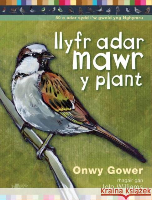 Llyfr Adar Mawr y Plant Onwy Gower 9781784617776 Y Lolfa - książka