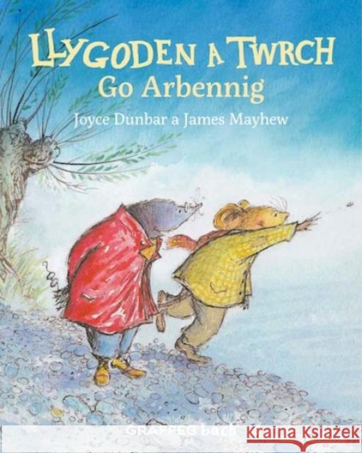 Llygoden a Twrch Go Arbennig Joyce Dunbar, James Mayhew, Anwen Pierce 9781802581690 Graffeg Limited - książka