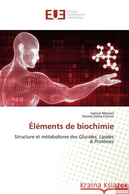 Éléments de biochimie : Structure et métabolisme des Glucides, Lipides & Protéines Meziani, Samira; Chenni, Fatima Zohra 9786139537334 Éditions universitaires européennes - książka