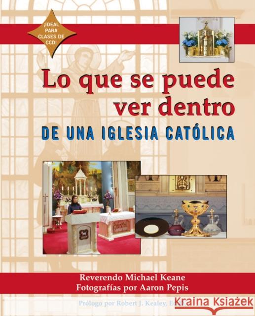 Lo Que Se Puede Ver Dentro de Una Iglesia Catolica Michael Keane Aaron Pepis 9781893361669 Skylight Paths Publishing - książka