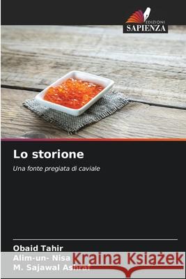 Lo storione Tahir, Obaid, Nisa, Alim-un-, Ashraf, M. Sajawal 9786202473040 Edizioni Sapienza - książka