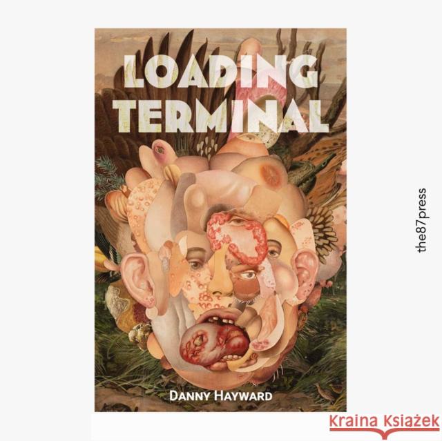 Loading Terminal Danny Hayward 9781739954765 The 87 Press - książka