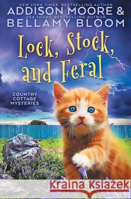 Lock, Stock, and Feral Moore Addison Moore 9798729154029 Independently published - książka