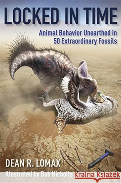 Locked in Time: Animal Behavior Unearthed in 50 Extraordinary Fossils Dean R. Lomax Robert Nicholls 9780231197281 Columbia University Press - książka