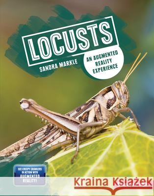 Locusts: An Augmented Reality Experience Sandra Markle 9781728402710 Lerner Publications (Tm) - książka