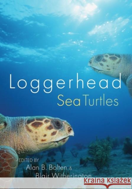 Loggerhead Sea Turtles Alan B. Bolten Blair E. Witherington 9781588345578 Smithsonian Books - książka