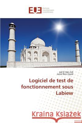 Logiciel de test de fonctionnement sous Labiew Zidi, Jed El Hak; Ben Zayed, Jamel 9783841747877 Éditions universitaires européennes - książka