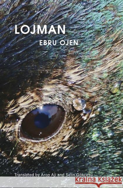 Lojman Ebru Ojen 9780872868984 City Lights Books - książka
